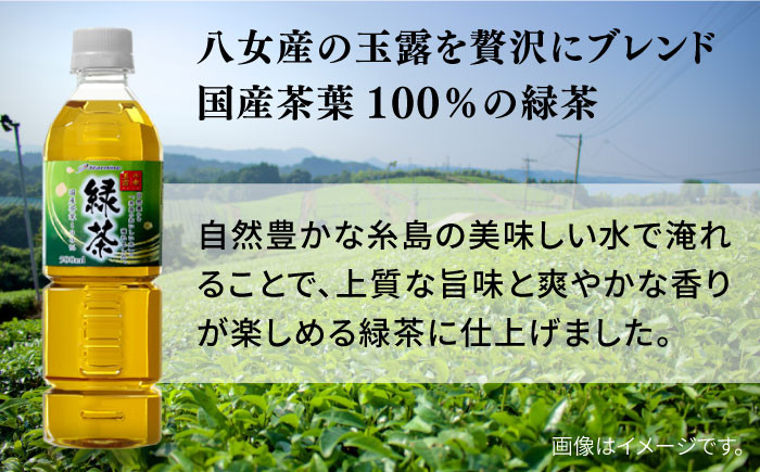 緑茶 ペットボトル 500ml × 24本