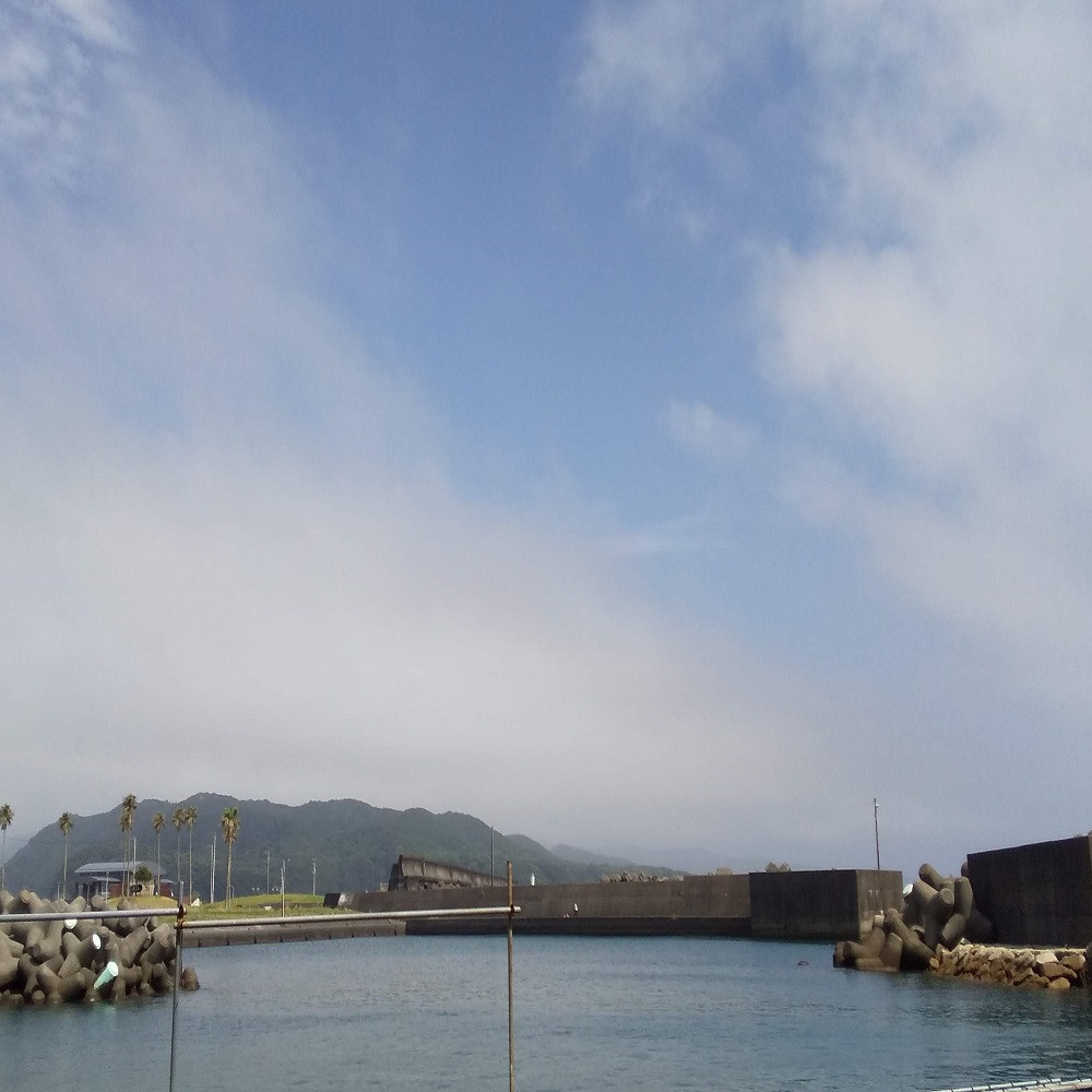 作業場の目の前の海（小さな港）