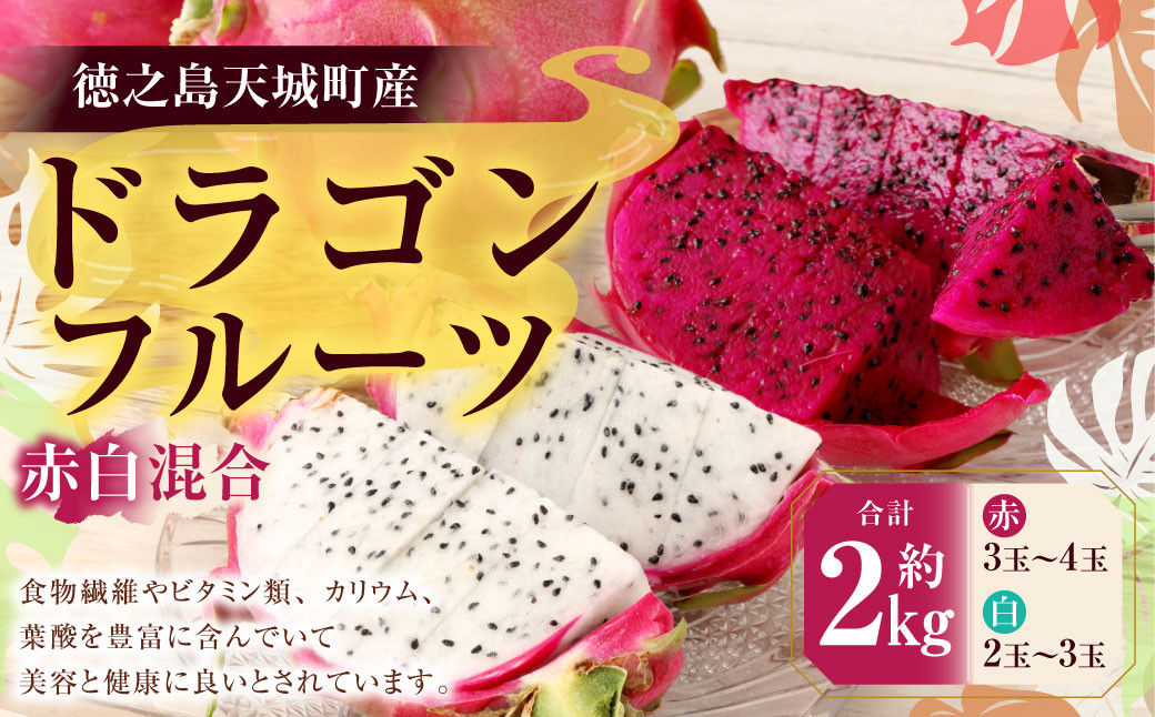 徳之島 天城町産 ドラゴンフルーツ 赤白混合 約2kgg