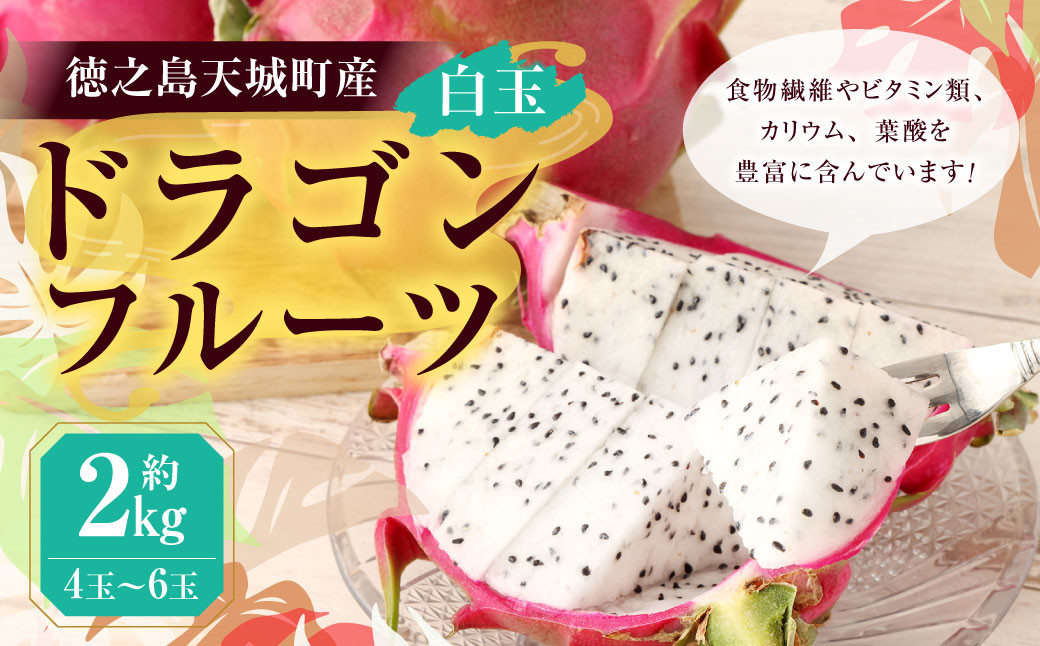 徳之島 天城町産 ドラゴンフルーツ 白玉 約2kg