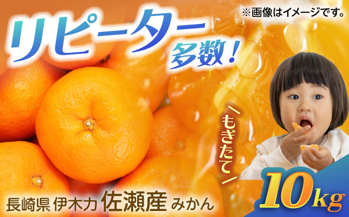 佐瀬みかん10kg(混合サイズ)