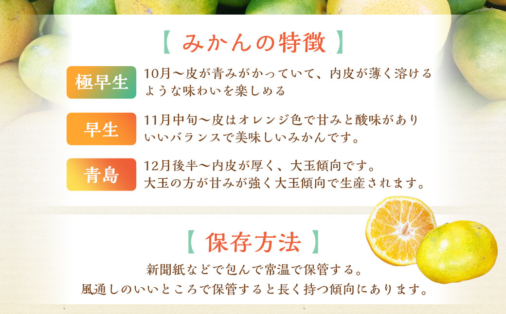 【規格外品】熊本市産 みかん ご家庭用 15kg 不揃い