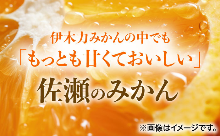 佐瀬みかん10kg(混合サイズ)