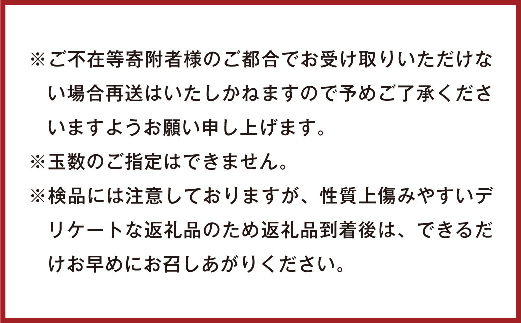 徳之島 天城町産 ドラゴンフルーツ 赤玉 約2kg