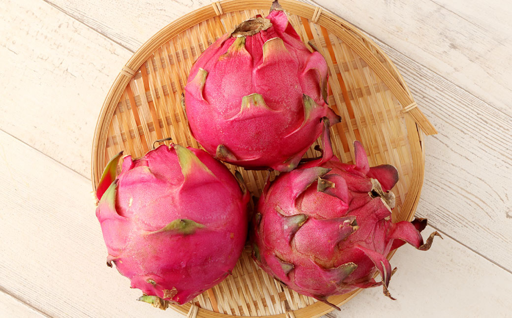 徳之島 天城町産 ドラゴンフルーツ 赤玉 約2kg