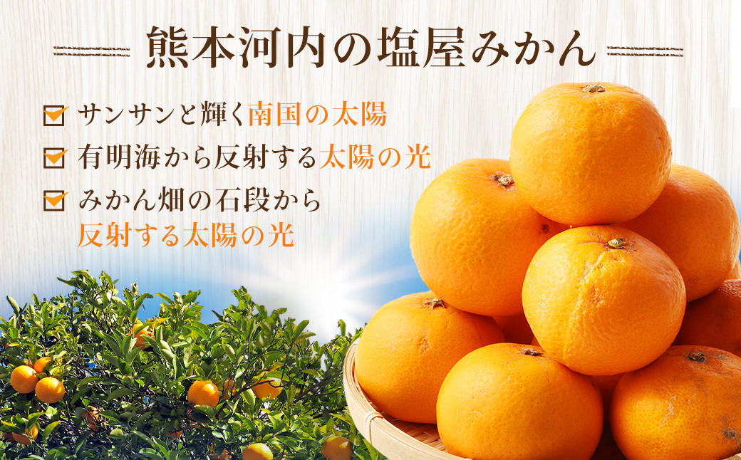 【不揃い】選べる 河内 塩屋みかん 4kg