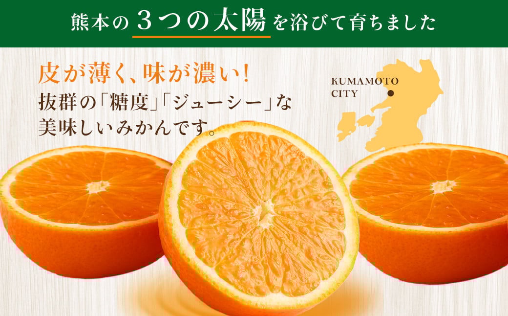 【不揃い】選べる 河内 塩屋みかん 3kg