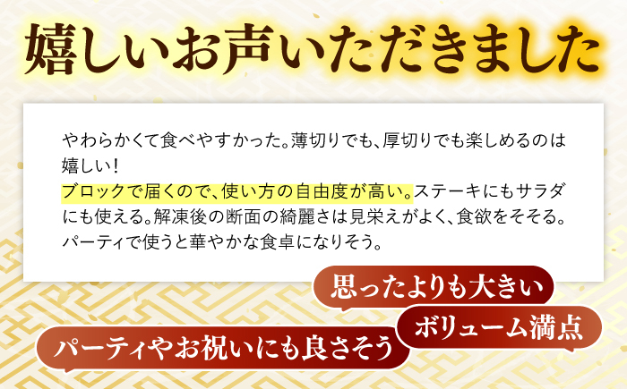 A5 黒毛和牛 ローストビーフ ブロック 赤身 九州 九州産 クリスマス パーティー