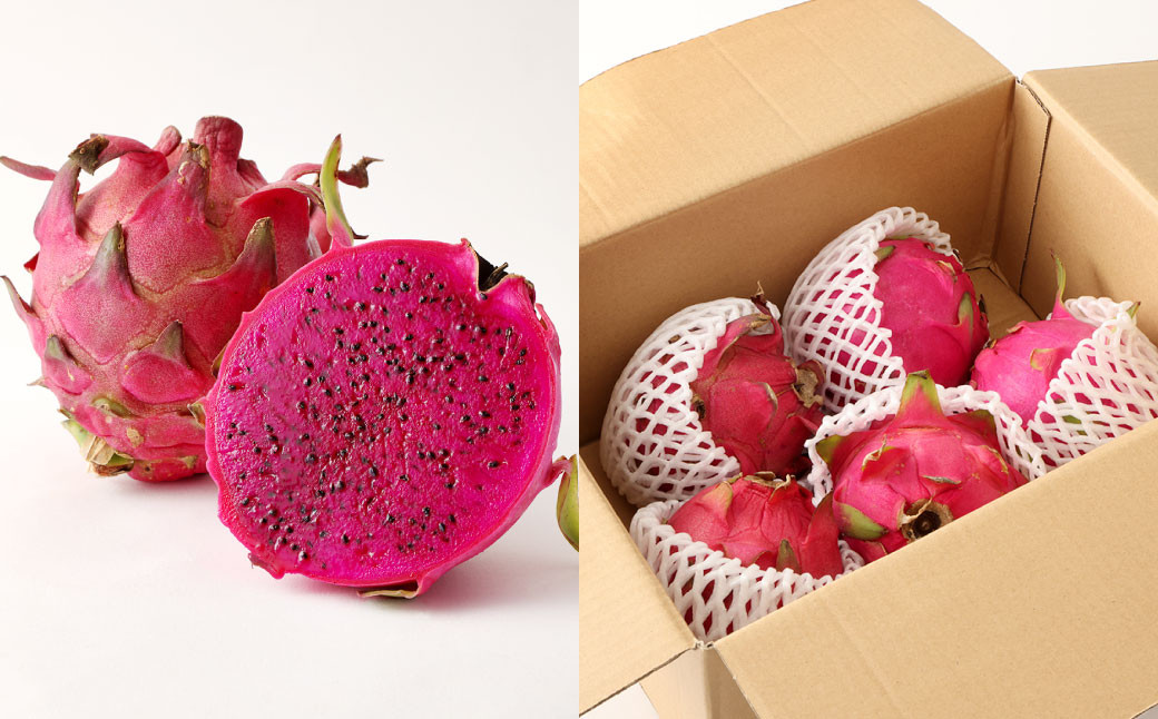 徳之島 天城町産 ドラゴンフルーツ 赤玉 約2kg