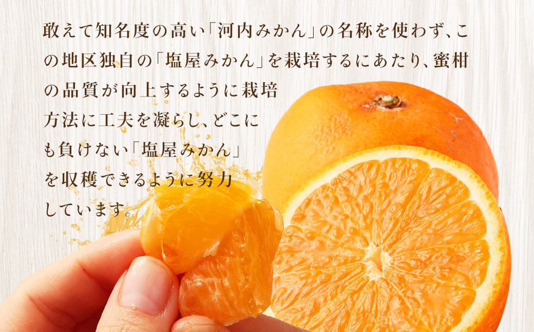 【不揃い】選べる 河内 塩屋みかん 4kg