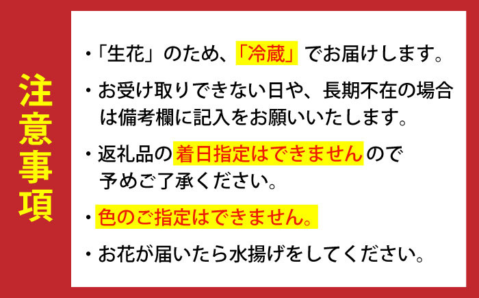 ガーベラ 花 はな 生花 プレゼント