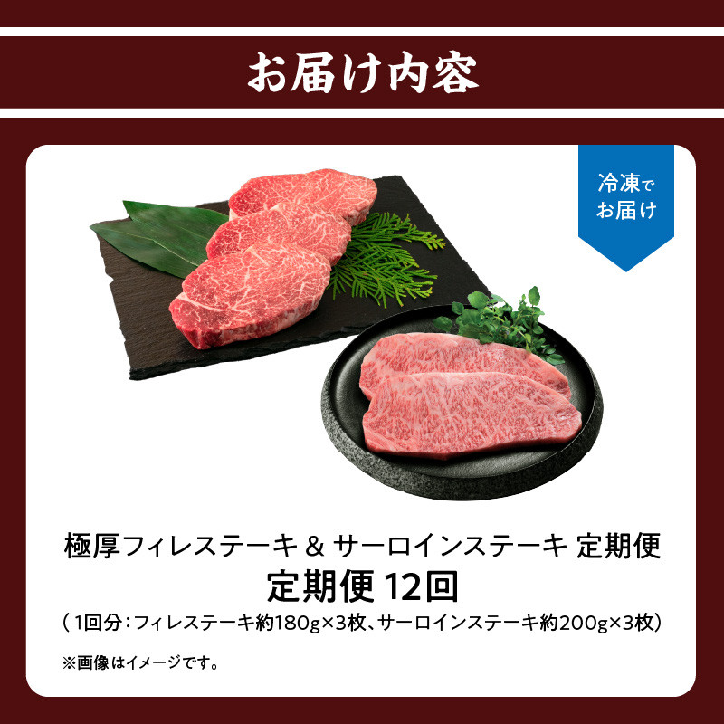 厳選佐賀牛「極厚フィレステーキ」＆「サーロインステーキ」定期便【全12回配送】
