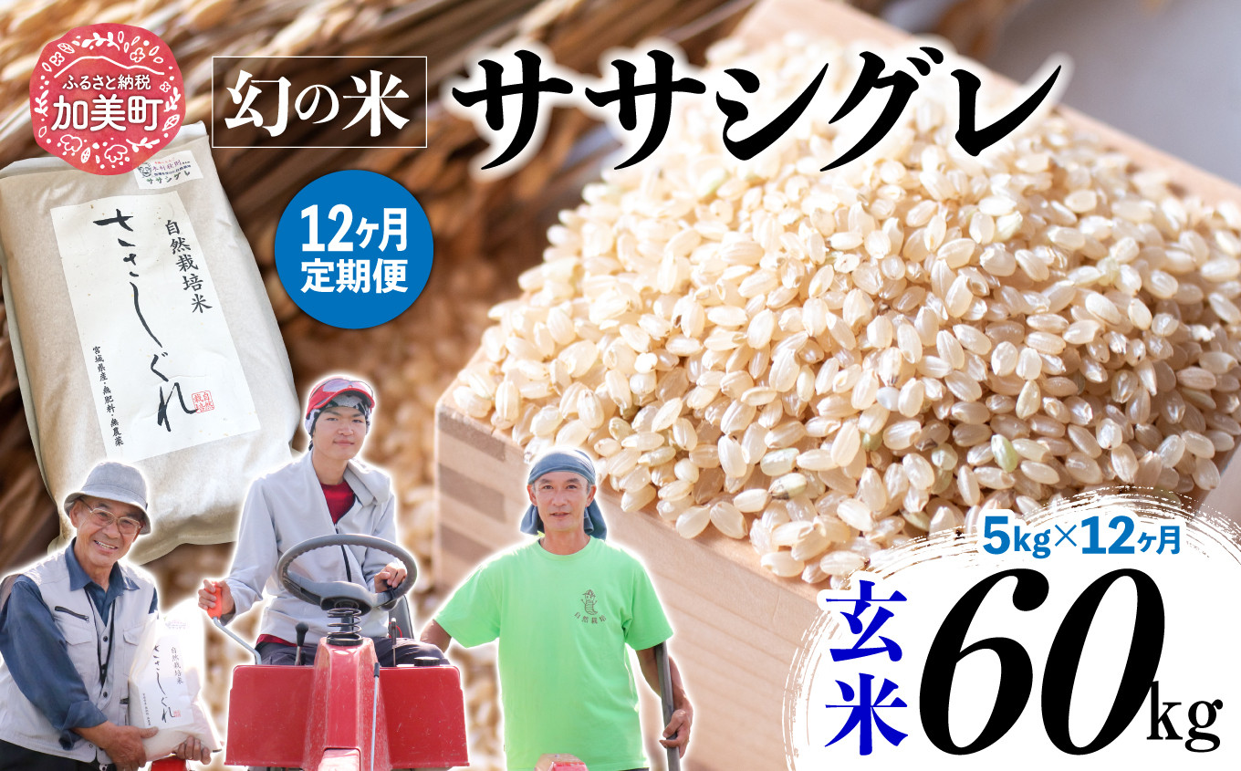  【 12回 定期便 】ササシグレ 玄米 5kg × 12回 （ 合計 60kg ）