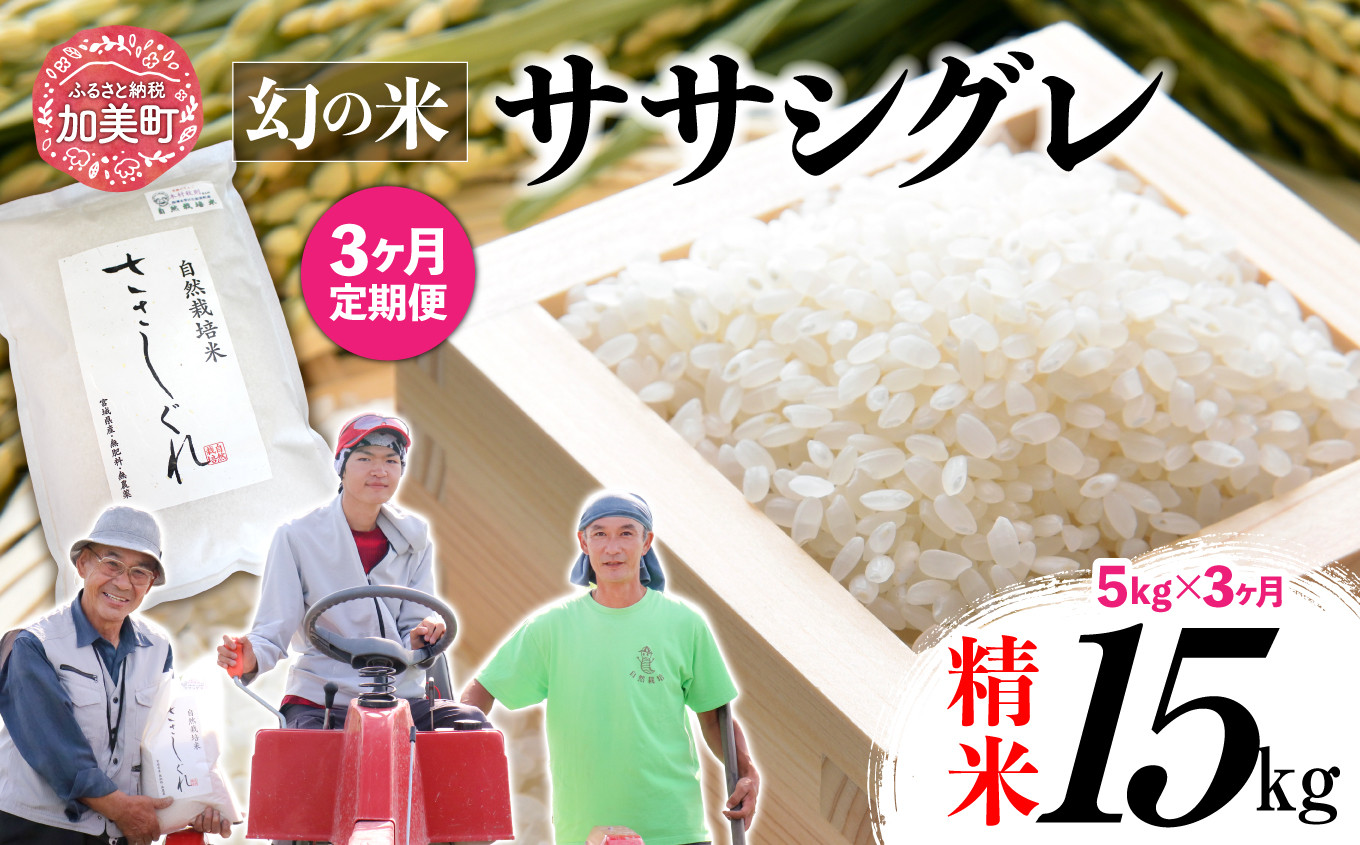 新米  【3回定期便】ササシグレ 精米5kg×3回（合計15kg）
