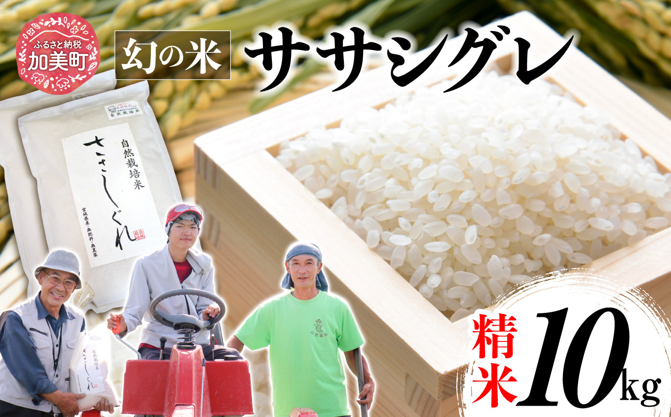 新米 令和6年産 ササシグレ 精米 10kg