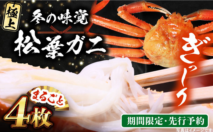 松葉ガニ かに カニ 鍋 グルメ 海鮮 お取り寄せ 国産 島根 松江 おすすめ