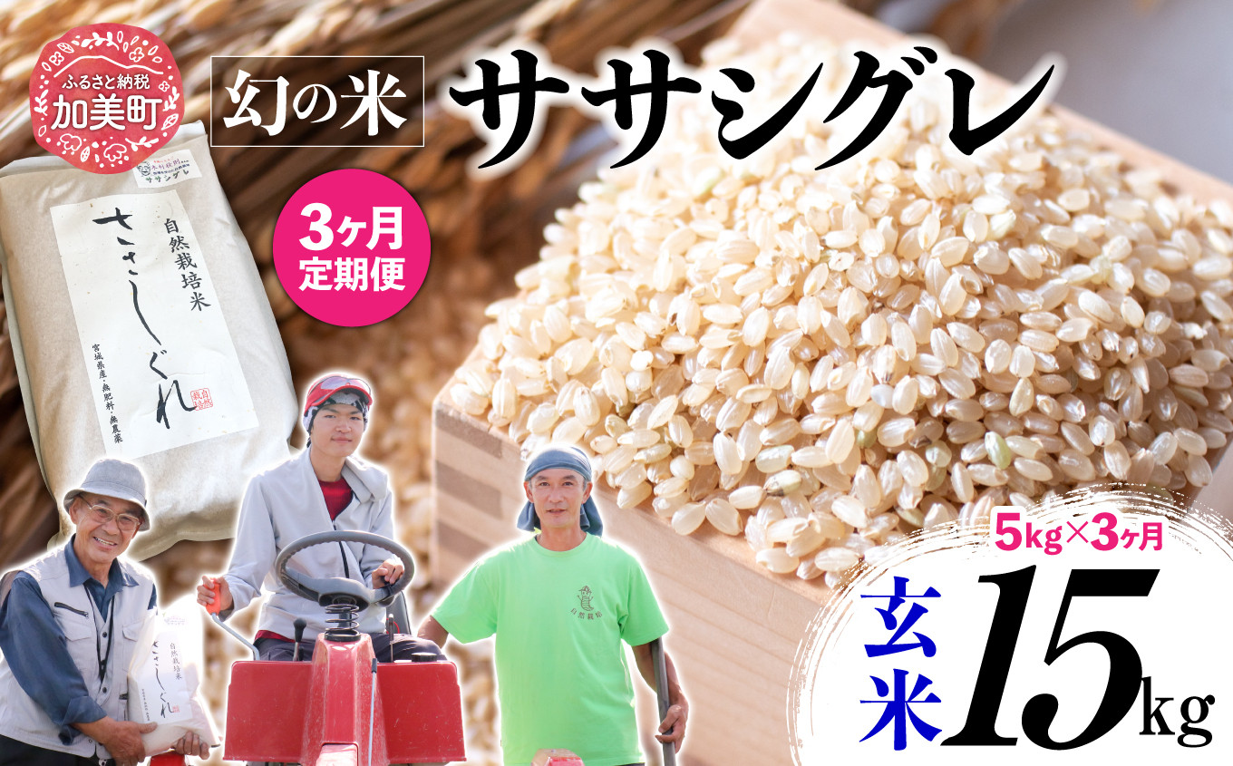  【 3回 定期便 】ササシグレ 玄米 5kg × 3回 （ 合計 15kg ）