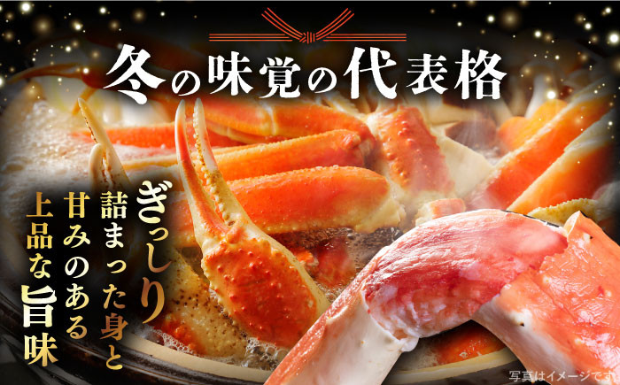 松葉ガニ かに カニ 鍋 グルメ 海鮮 お取り寄せ 国産 島根 松江 おすすめ