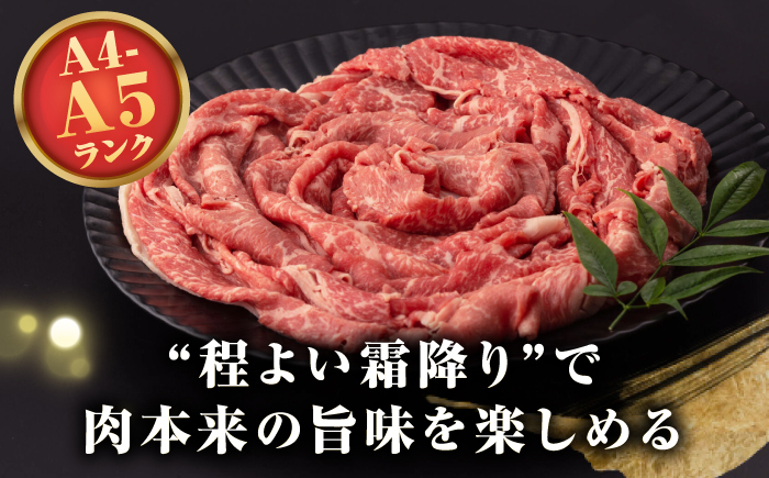 人気 和牛  長崎和牛 希少 柔らかい やわらかい 贈り物 ギフト  肉 お祝い