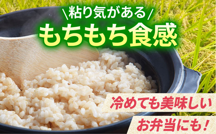  がばいうまかエガシライス ( 夢しずく ) 玄米 15kg ( 5kg×3袋 ) 