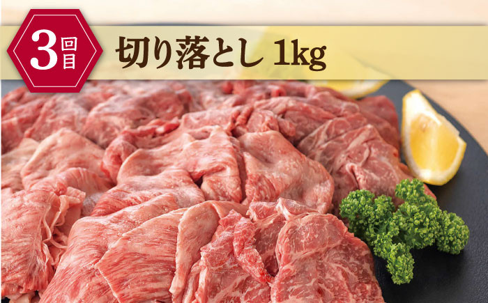 牛肉 和牛 肉 国産 黒毛和牛 肉 セット 定期便 高級 松江 島根 おすすめ
