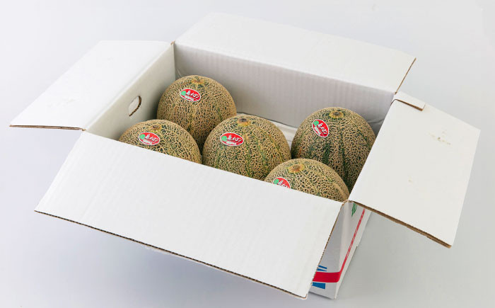 メロン めろん アムスメロン 果物 くだもの 果実 フルーツ デザート ギフト 