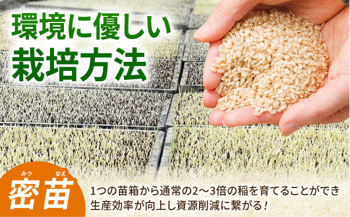  がばいうまかエガシライス ( 夢しずく ) 玄米 15kg ( 5kg×3袋 ) 