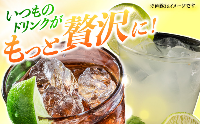 【長崎県長与町産】璃の香 ( りのか ) 約3kg レモン