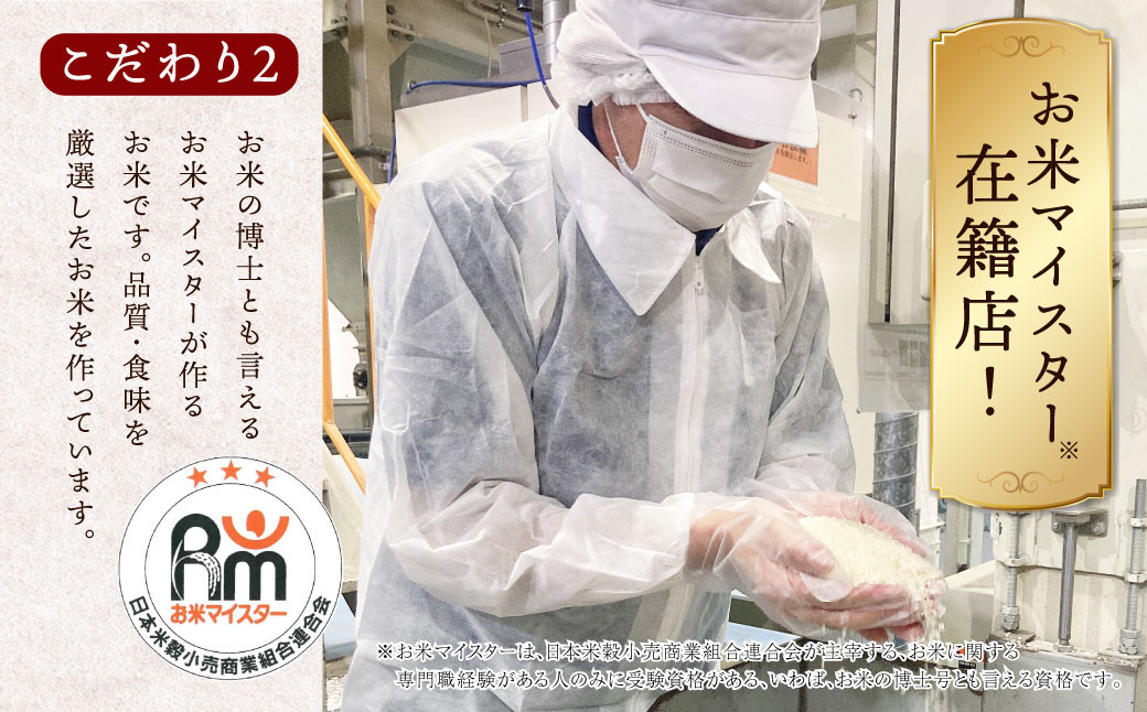 【定期便6ヶ月】阿蘇だわら 十六雑穀ごはん パックライス 160g×30パック 合計180パック 国産