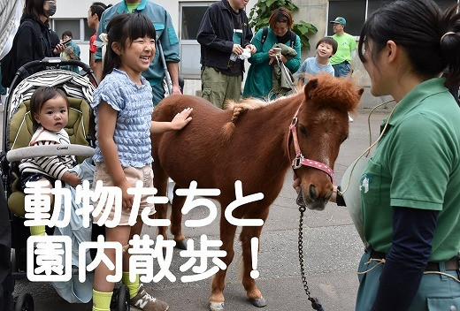 動物と園内散歩