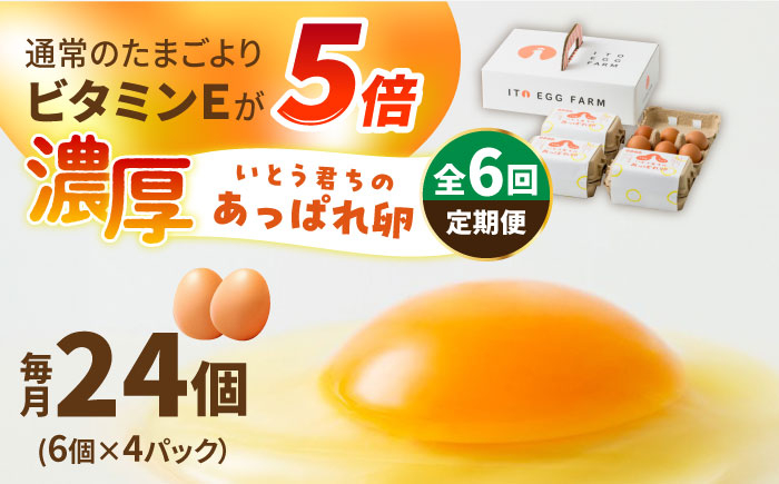 【6回定期便】いとう君ちのあっぱれ卵 24個(6個×4パック)ギフトBOX 卵 たまご パック卵 鶏卵