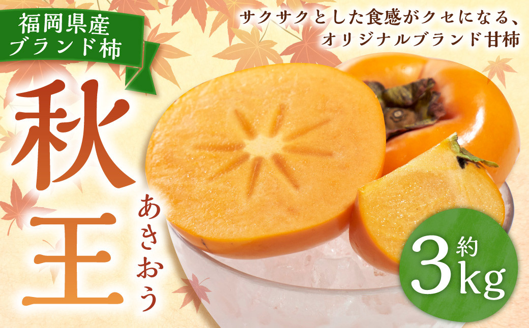 福岡県産ブランド柿・秋王 約3kg (8-12玉) 柿 カキ かき くだもの