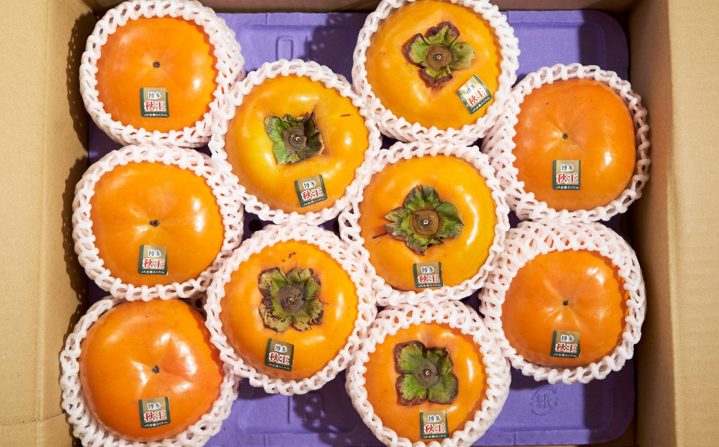 福岡県産ブランド柿・秋王 約3kg (8-12玉) 柿 カキ かき くだもの