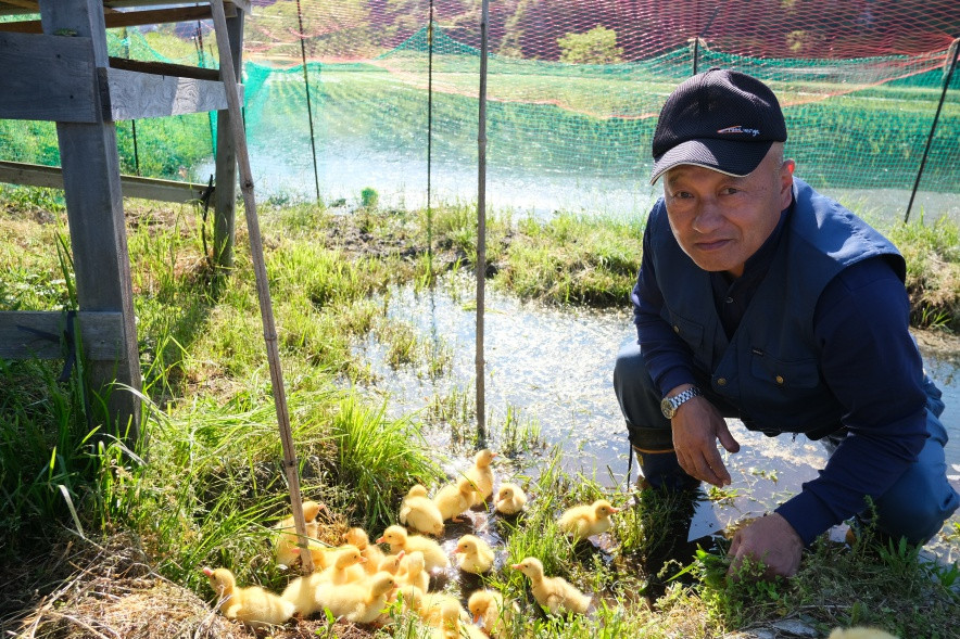 子鴨と山口歳弘さん。「なついてくれる合鴨たちに癒されながら、美味しいお米を直接消費者に届けたいとお米作りに励んでいます。」