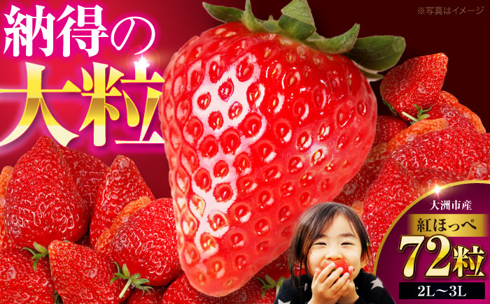 フルーツ 果物 くだもの 紅ほっぺ 苺 いちご イチゴ 大容量 ギフト 贈答 贈答用   愛媛県産いちご 大洲市産いちご