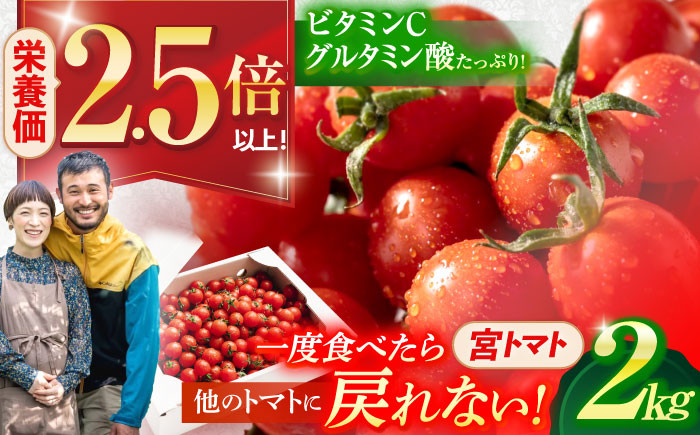 《宮トマト》一番ポピュラーなトマトで、お子様のおやつにもピッタリ。
有機肥料を中心に、必要最低限の農薬で育てました。