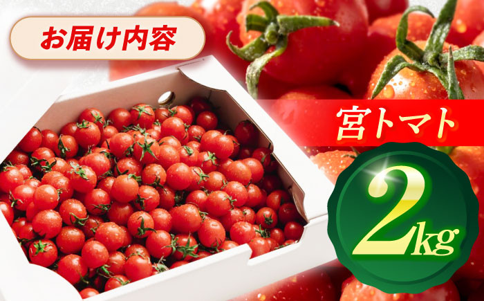 《宮トマト》一番ポピュラーなトマトで、お子様のおやつにもピッタリ。
有機肥料を中心に、必要最低限の農薬で育てました。