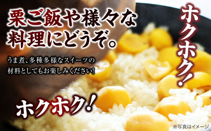 【栗 モンブラン マロン 栗の渋皮煮 秋の味覚 くり 和菓子 栗ご飯 栗きんとん ケーキ スイーツ 栗ごはん クリ 手作りおやつ