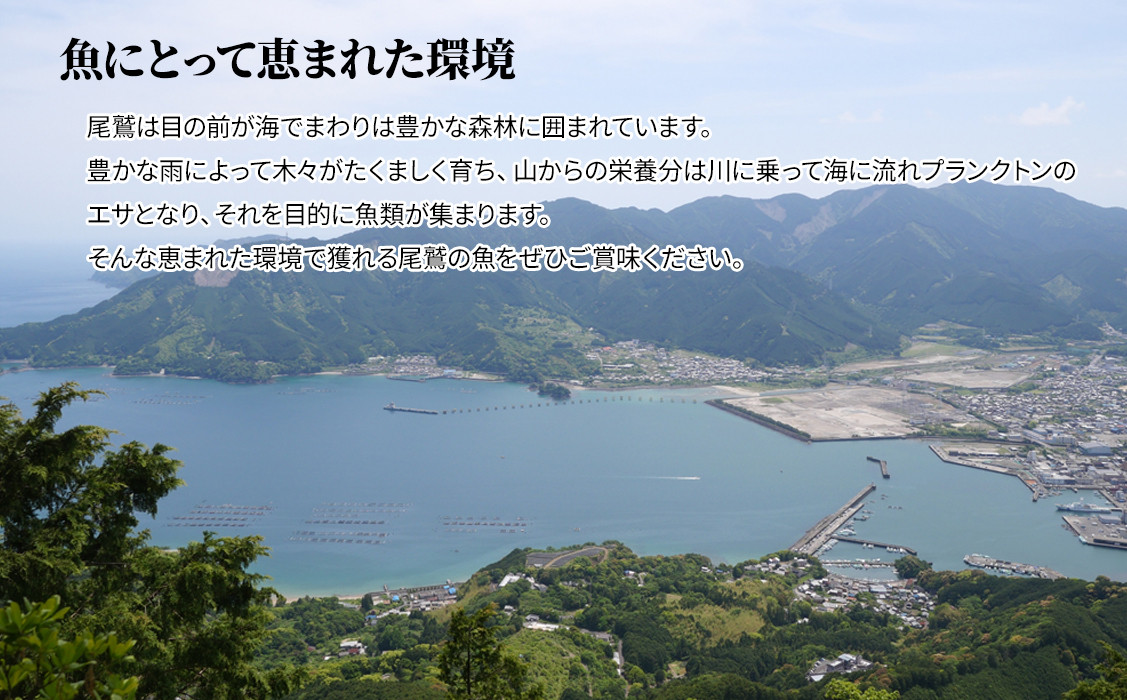 海の幸「九鬼のひもの詰合せ」4品