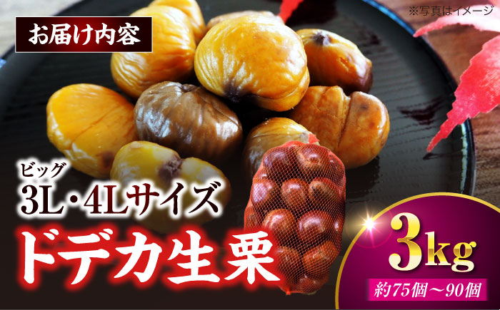 【先行予約】【9月下旬から配送開始】ドデカ 生栗 3kg（約75個〜90個）