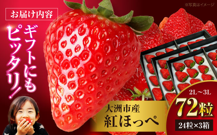 フルーツ 果物 くだもの 紅ほっぺ 苺 いちご イチゴ 大容量 ギフト 贈答 贈答用   愛媛県産いちご 大洲市産いちご