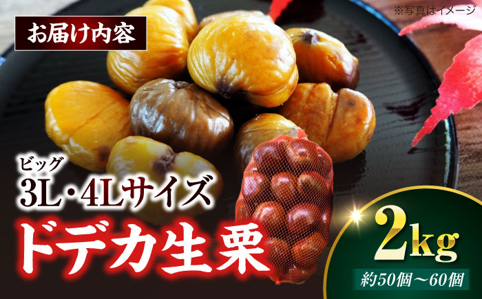 栗 モンブラン マロン 栗の渋皮煮 秋の味覚 くり 和菓子 栗ご飯 栗きんとん ケーキ スイーツ 栗ごはん クリ 手作りおやつ