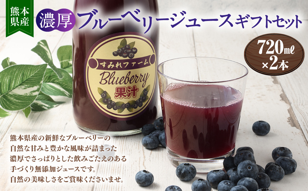 熊本県産 濃厚 ブルーベリー ジュース ギフト セット 720ml×2本