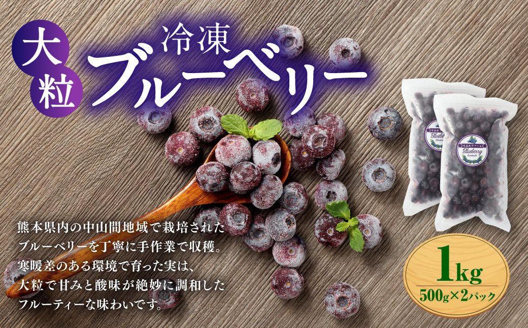 熊本県産 大粒 冷凍 ブルーベリー 1kg(500g×2パック)
