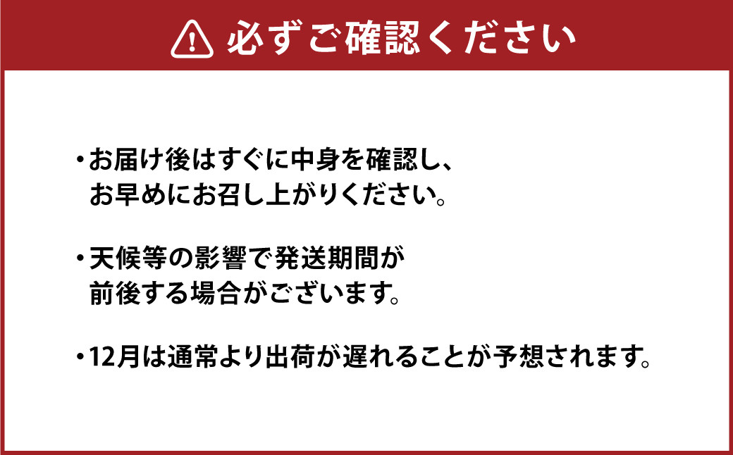 熊本県産 野菜 の 詰め合わせ 8品以上