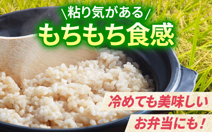 【全6回定期便】がばいうまか エガシライス ( 夢しずく ) 玄米 10kg ( 5kg×2袋 )