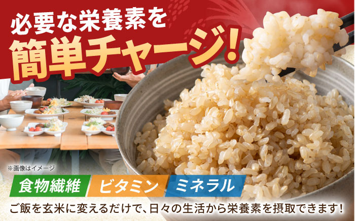 【全6回定期便】がばいうまか エガシライス ( 夢しずく ) 玄米 10kg ( 5kg×2袋 )