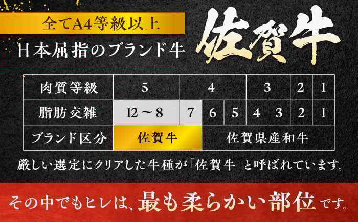 【12回定期便】180g× 3枚 佐賀牛 ヒレ ステーキ 総計 6.48kg 【極上の柔らかさ】 