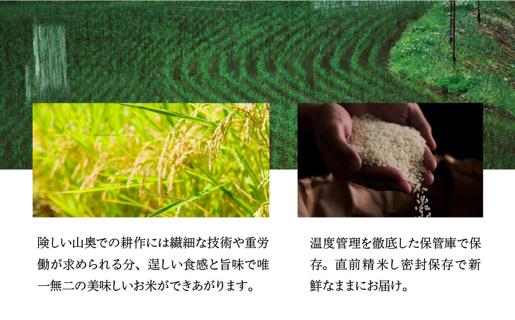 すがたらいす 商品一覧