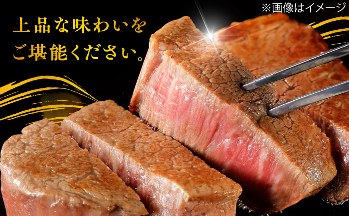【6回定期便】180g× 3枚 佐賀牛 ヒレ ステーキ 総計 3.24kg  【極上の柔らかさ】